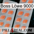 Boss Löwe 9000 27